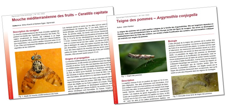 2022-02 Obstschädlinge Agroscope_720x340_f