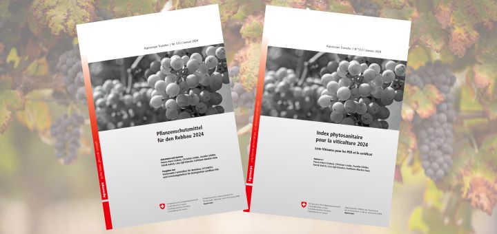 Recommandations phytosanitaires pour la viticulture 2024