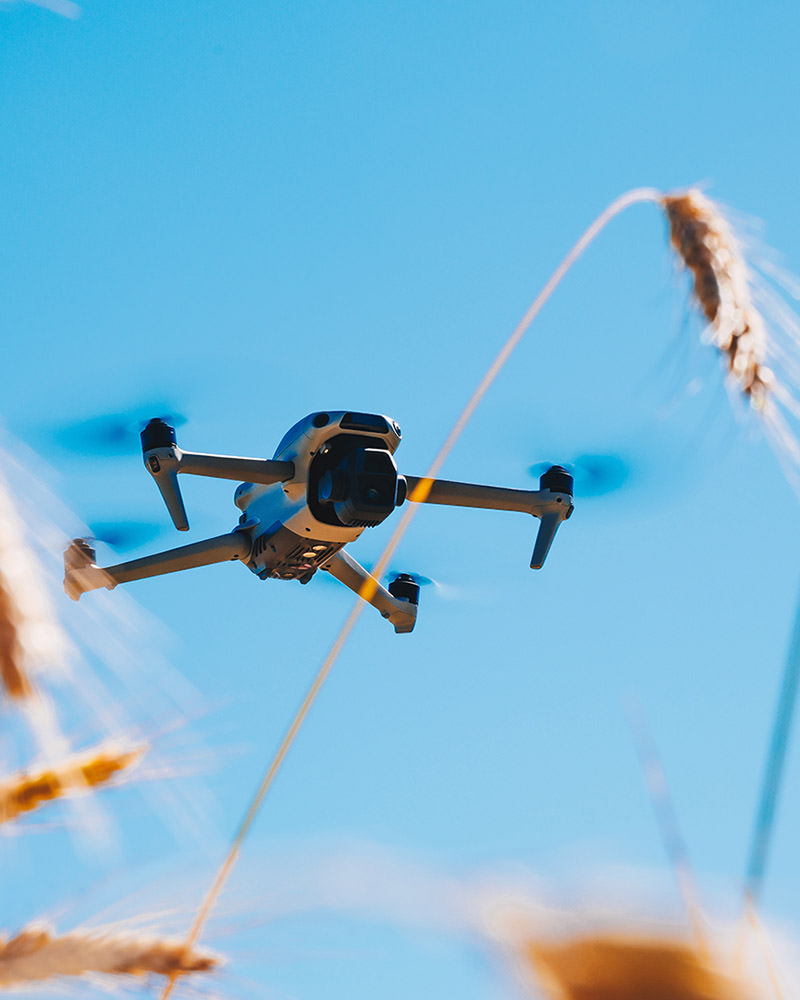 drone-survolant-un-champ-de-blé-doré-sous-un-ciel-bleu-dégagé-2026-07-21-17-06-26-utc_hero_mobile